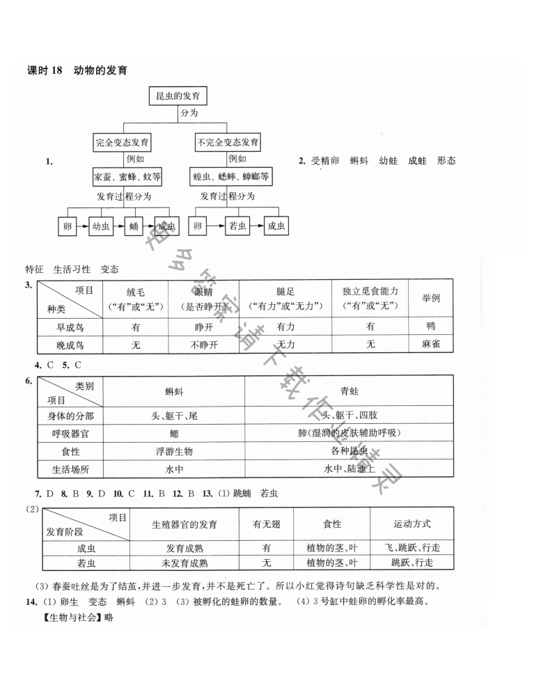 第20章课时18