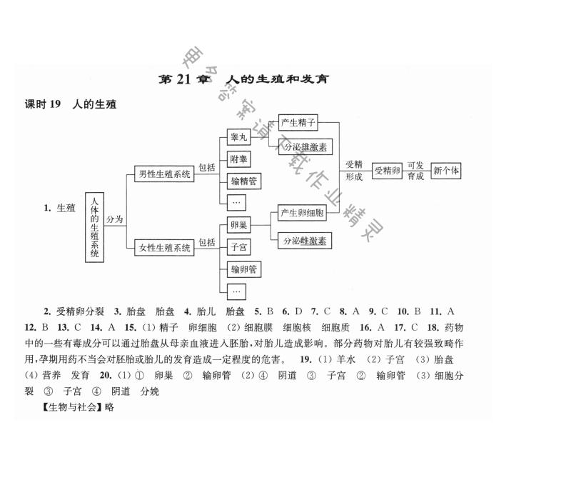 第21章课时19