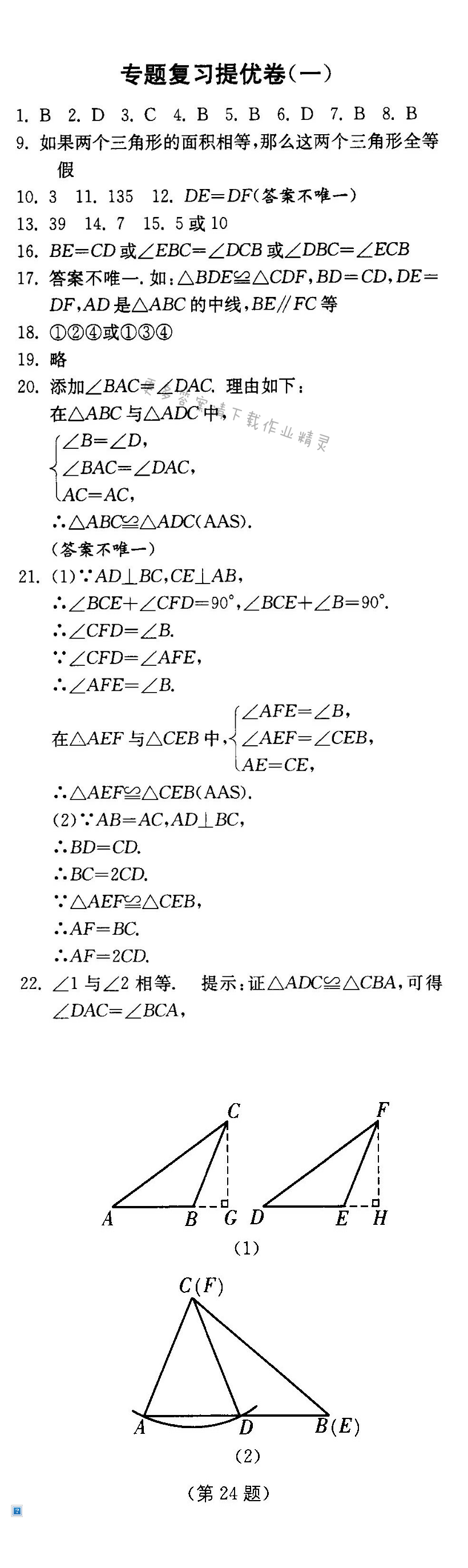 专题复习提优卷（一）