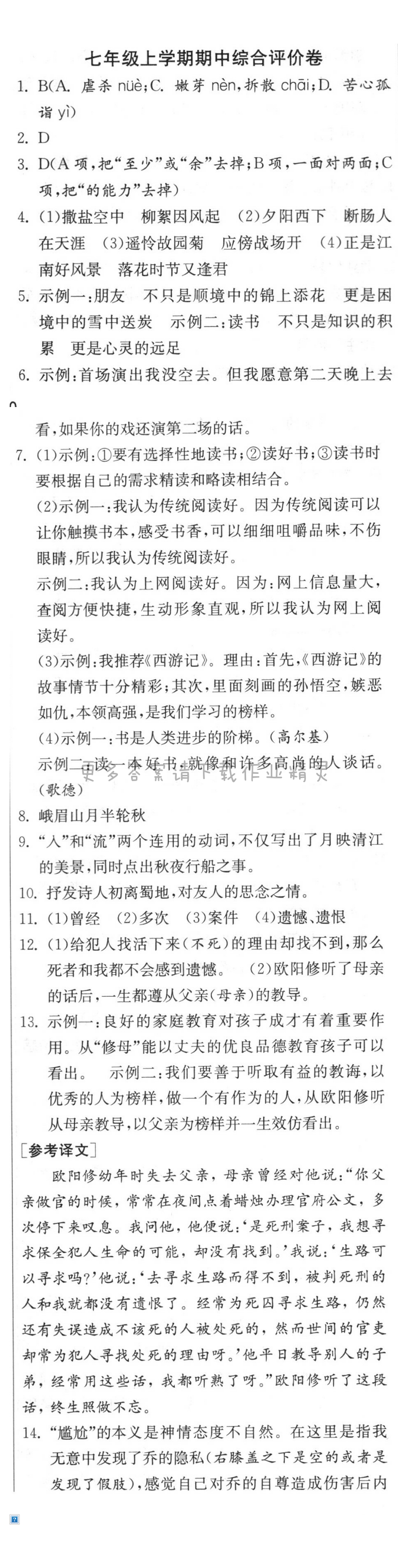 七年级上学期期中综合评价卷