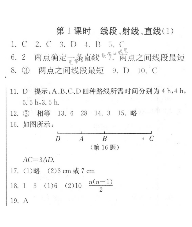 线段、射线、直线（1）