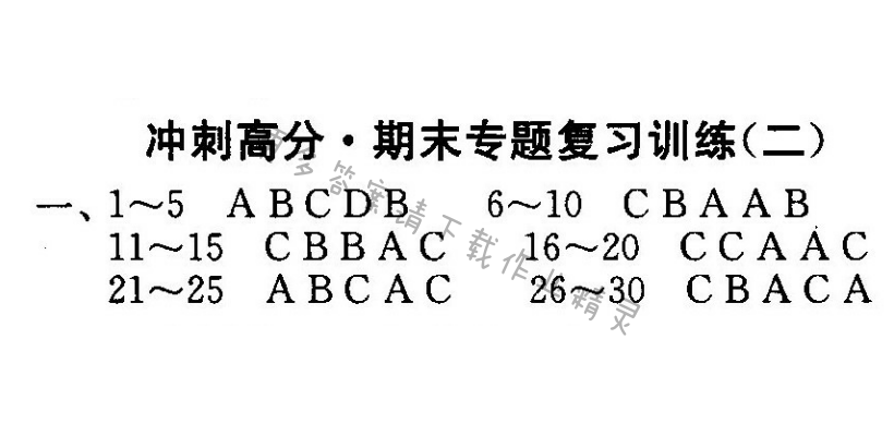 冲刺高分·期末专题复习训练（二）