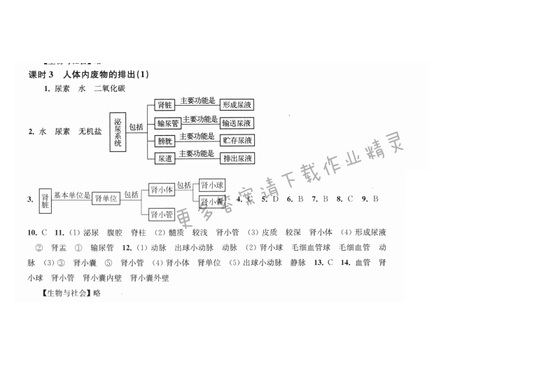 第15章课时3