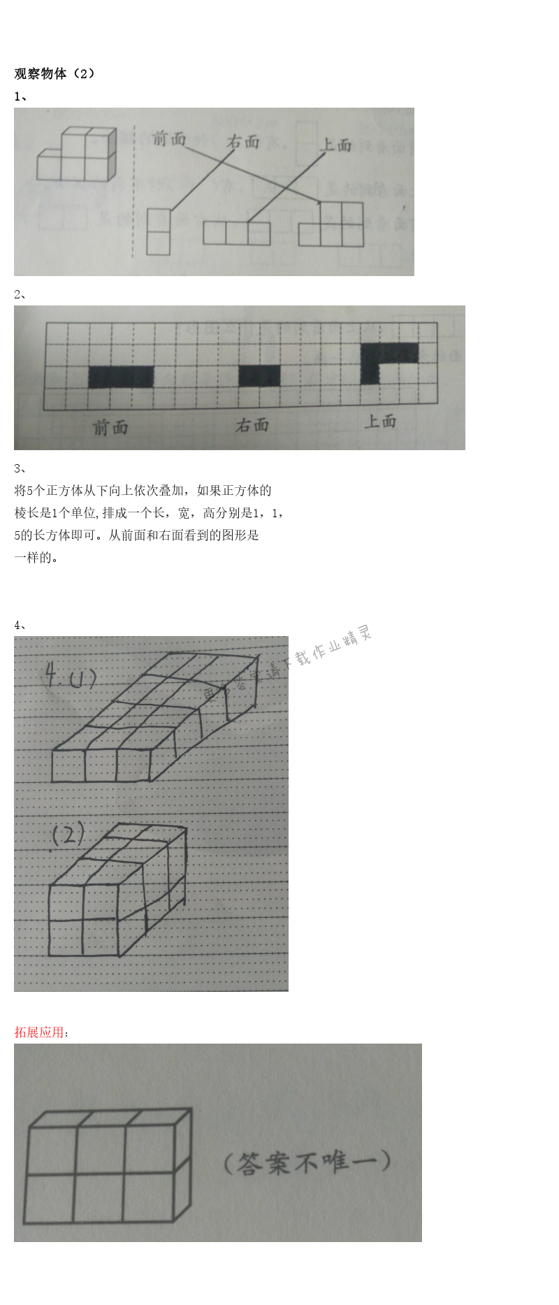 观察物体（2）