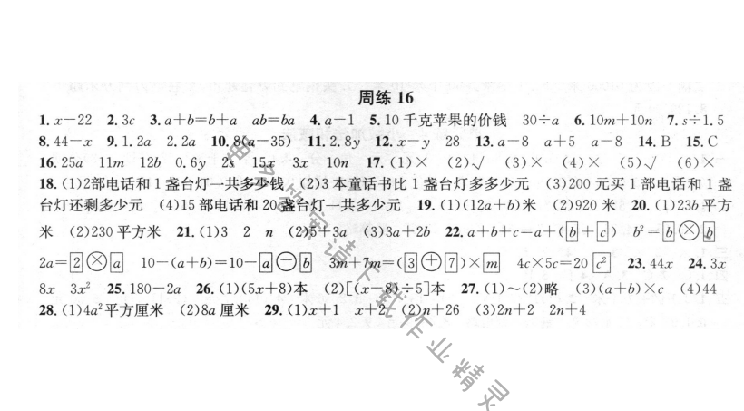 周周练 周练16 用字母表示数