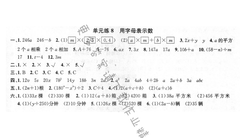 单元练8 用字母表示数