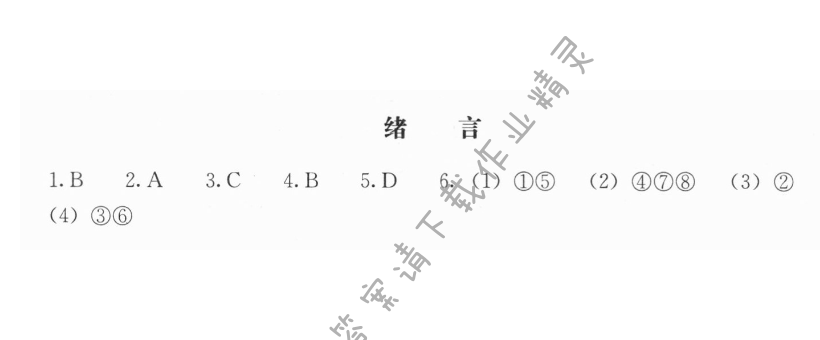 绪言 化学使世界变得更加绚丽多彩