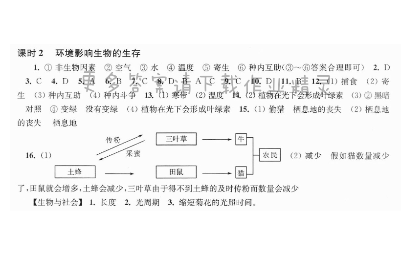 第2单元第2章第2课时 环境影响生物的生存