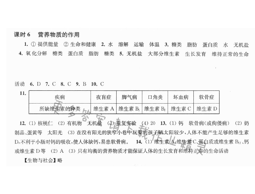 第3单元第5章第6课时 营养物质的作用