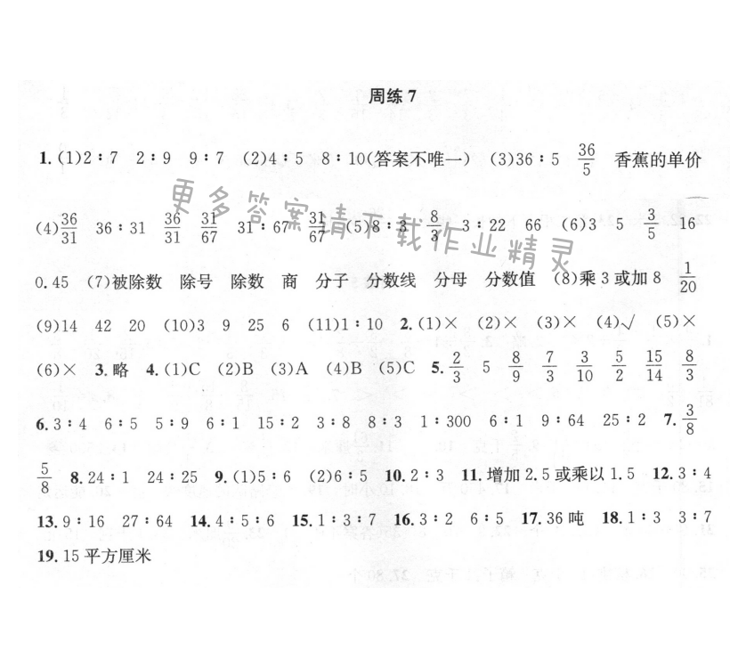 周周练 周练7 认识比（1）