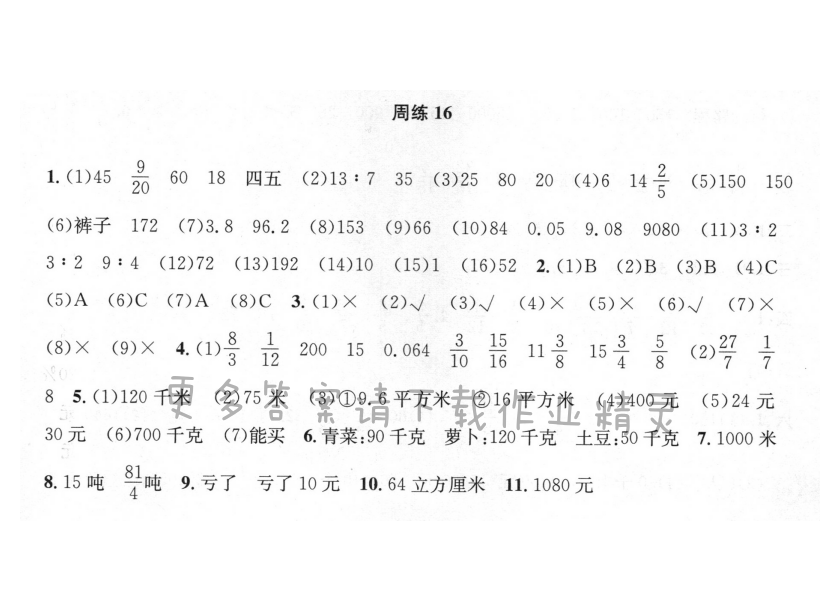 周周练 周练16 整理与复习