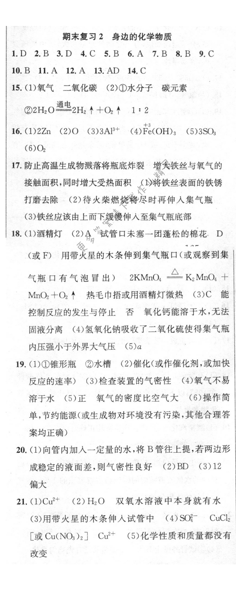 期末复习2 身边的化学物质