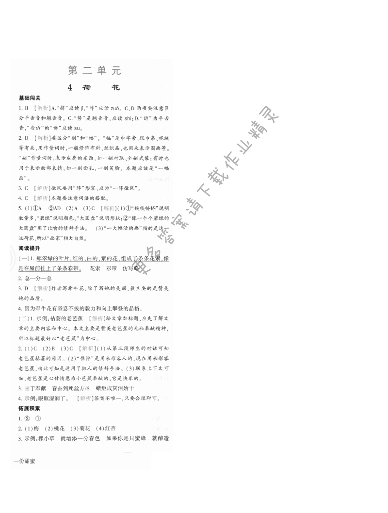 荷花