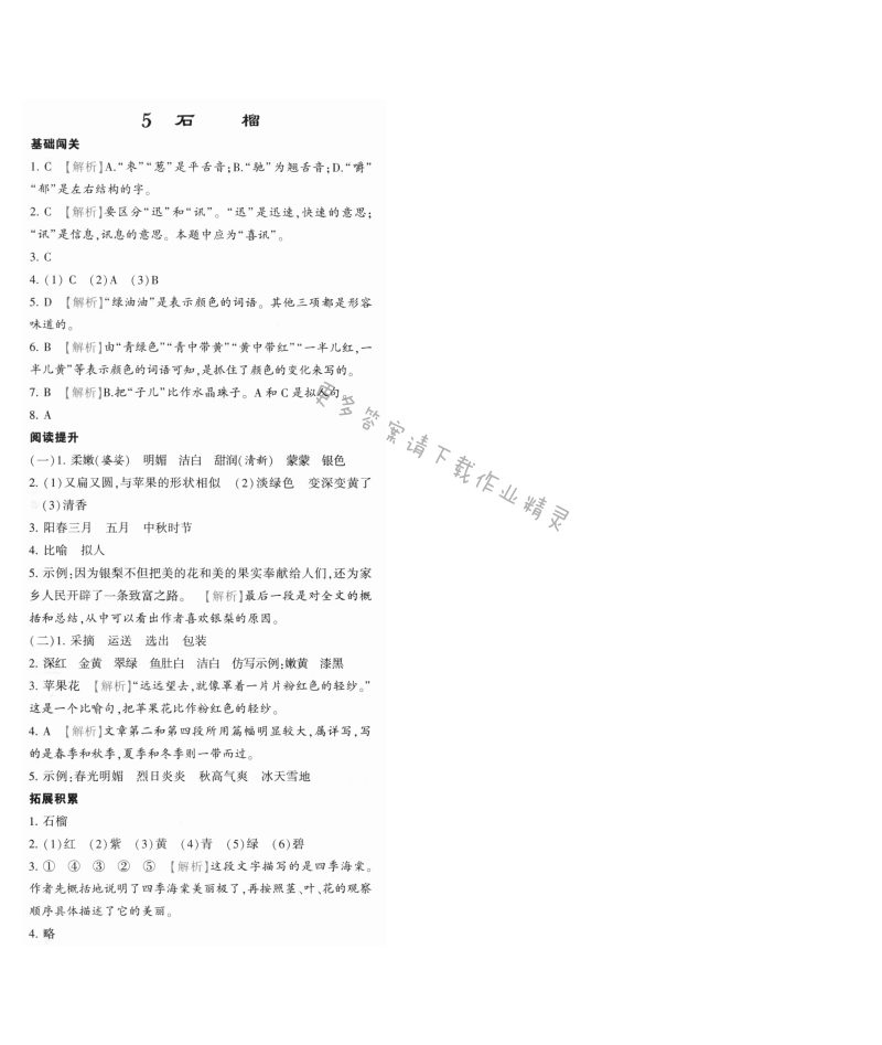 石榴