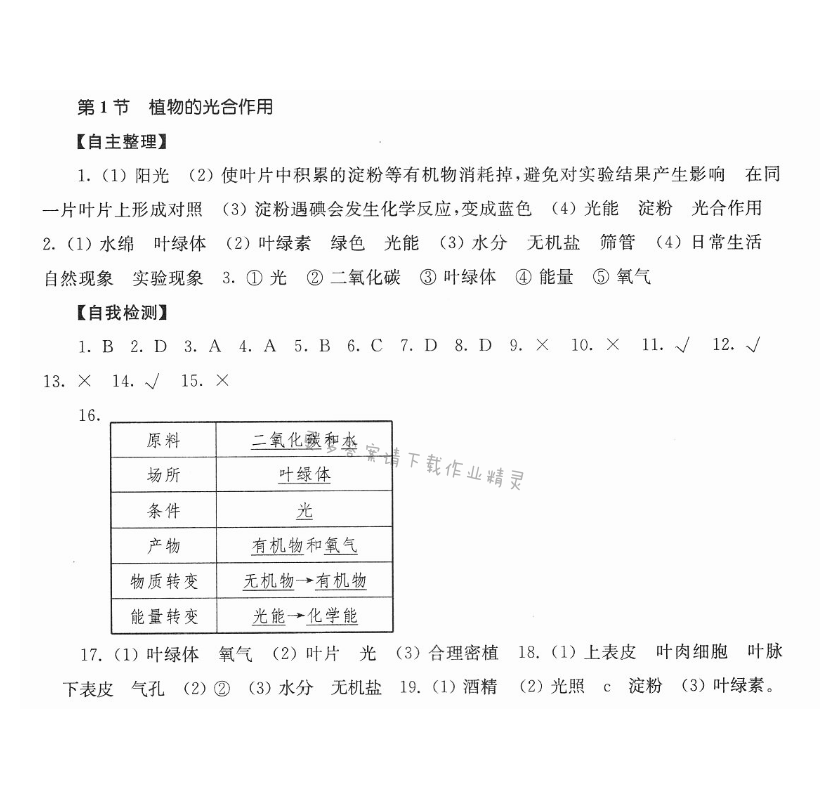 第3单元第4章第1节植物的光合作用