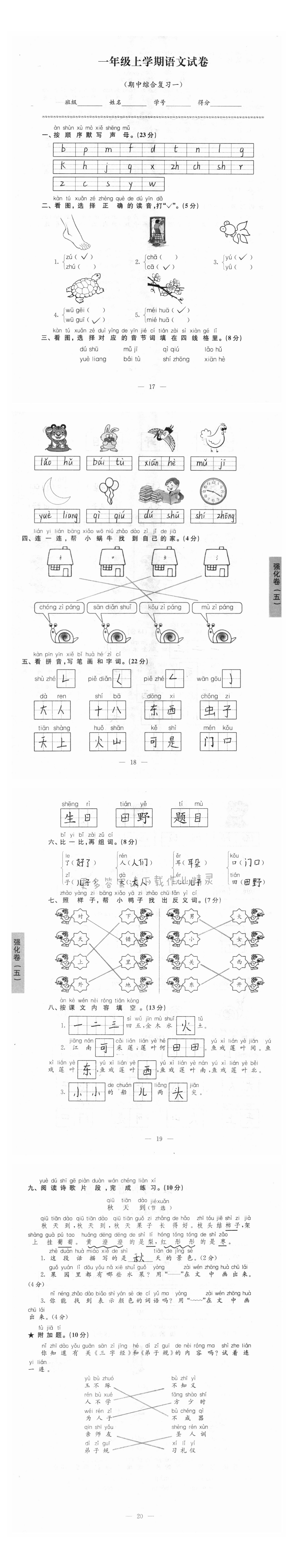 期中综合复习一 强化卷（五）