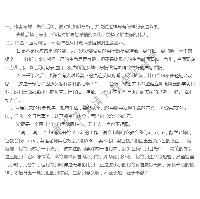 短文两篇 蝉 贝壳课后题答案