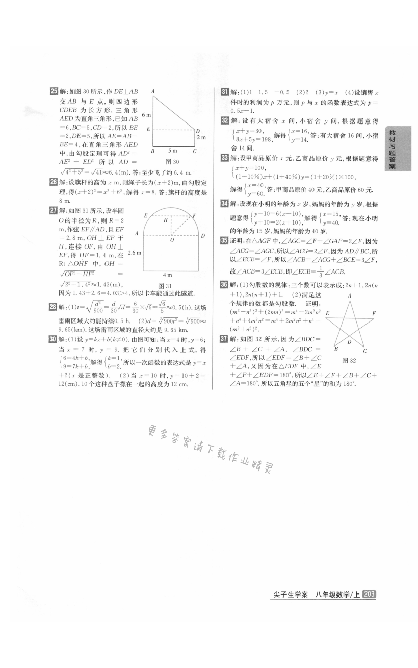 总复习（3）