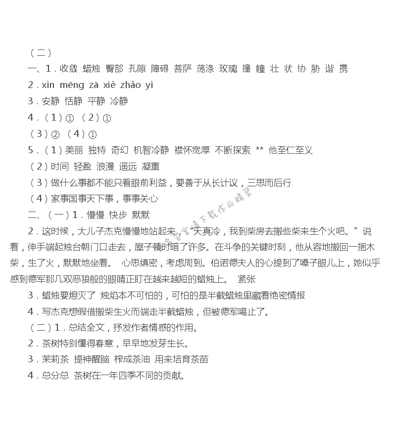 苏教版六年级下册语文期中复习测试（二）伴你学答案