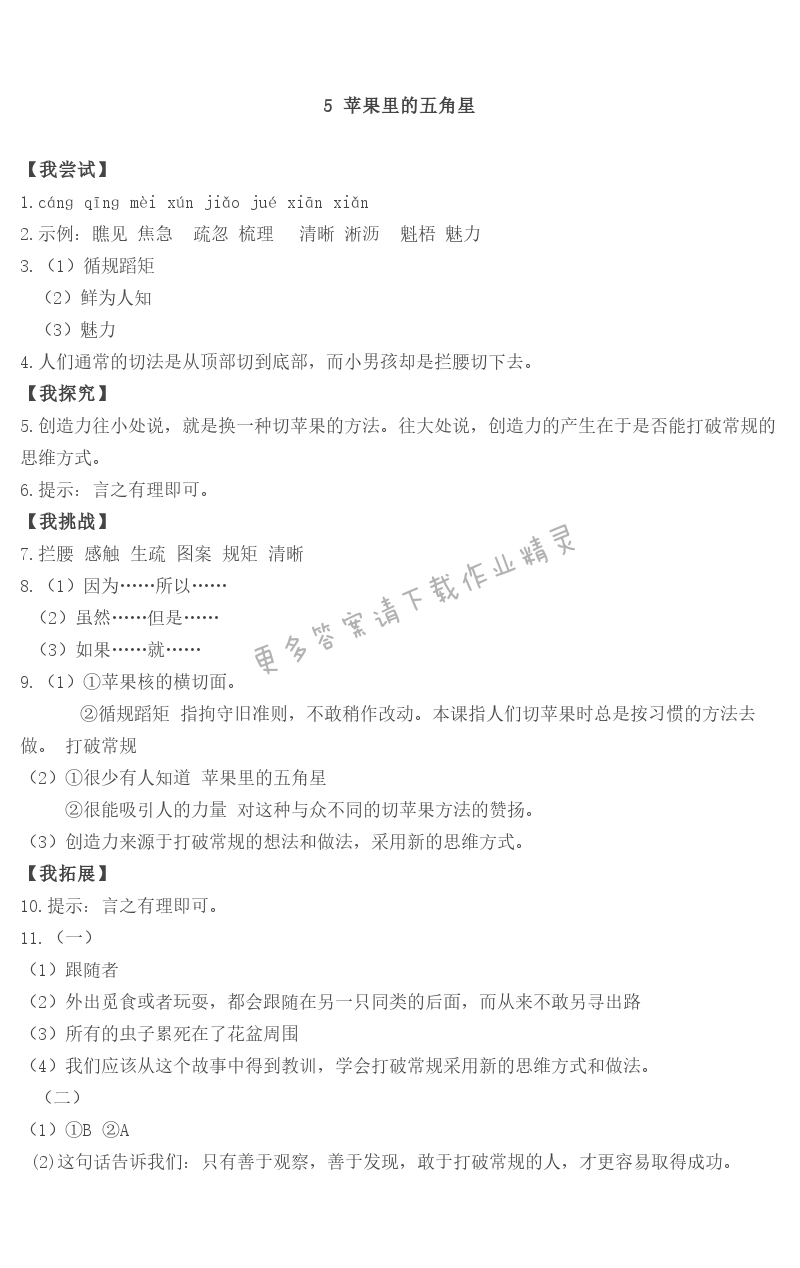 5 苹果里的五角星