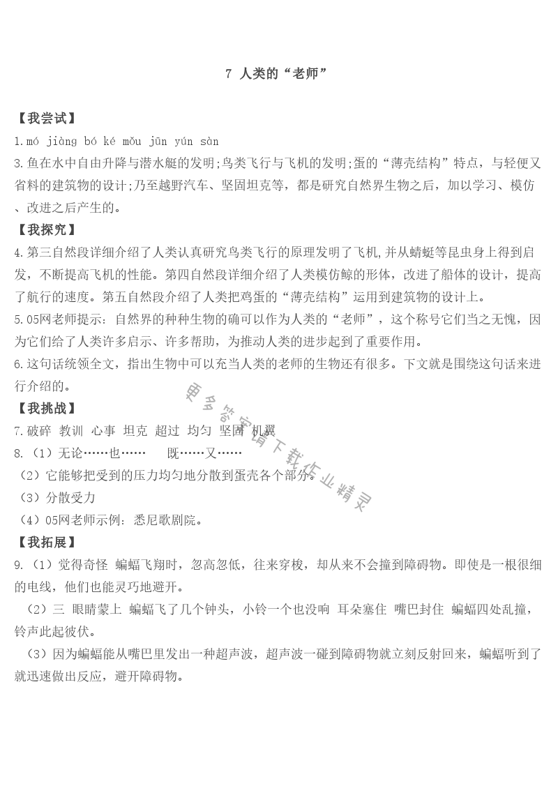 7 人类的“老师”