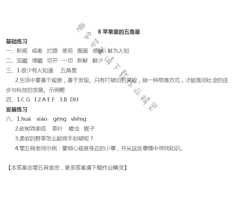 8 苹果里的五角星