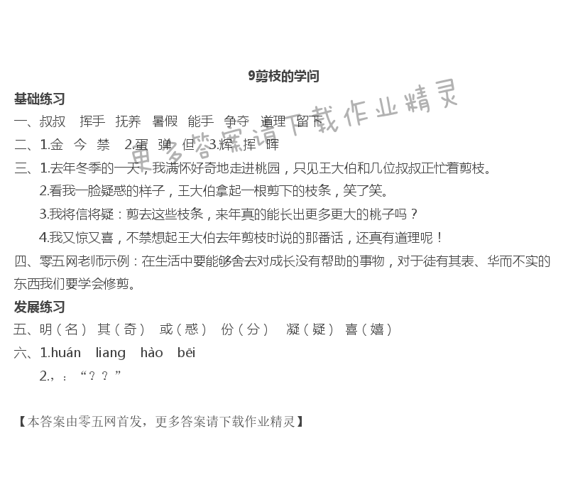 9 剪枝的学问 - 9剪枝的学问