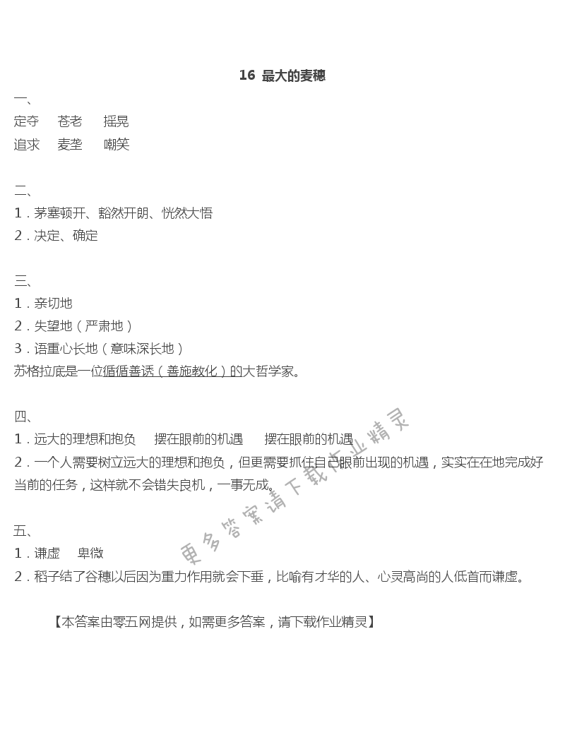 16最大的麦穗 - 16  最大的麦穗