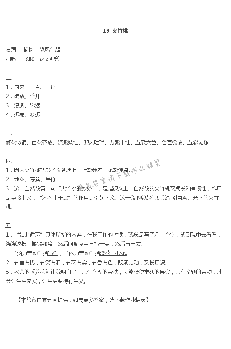 19夹竹桃 - 第19页