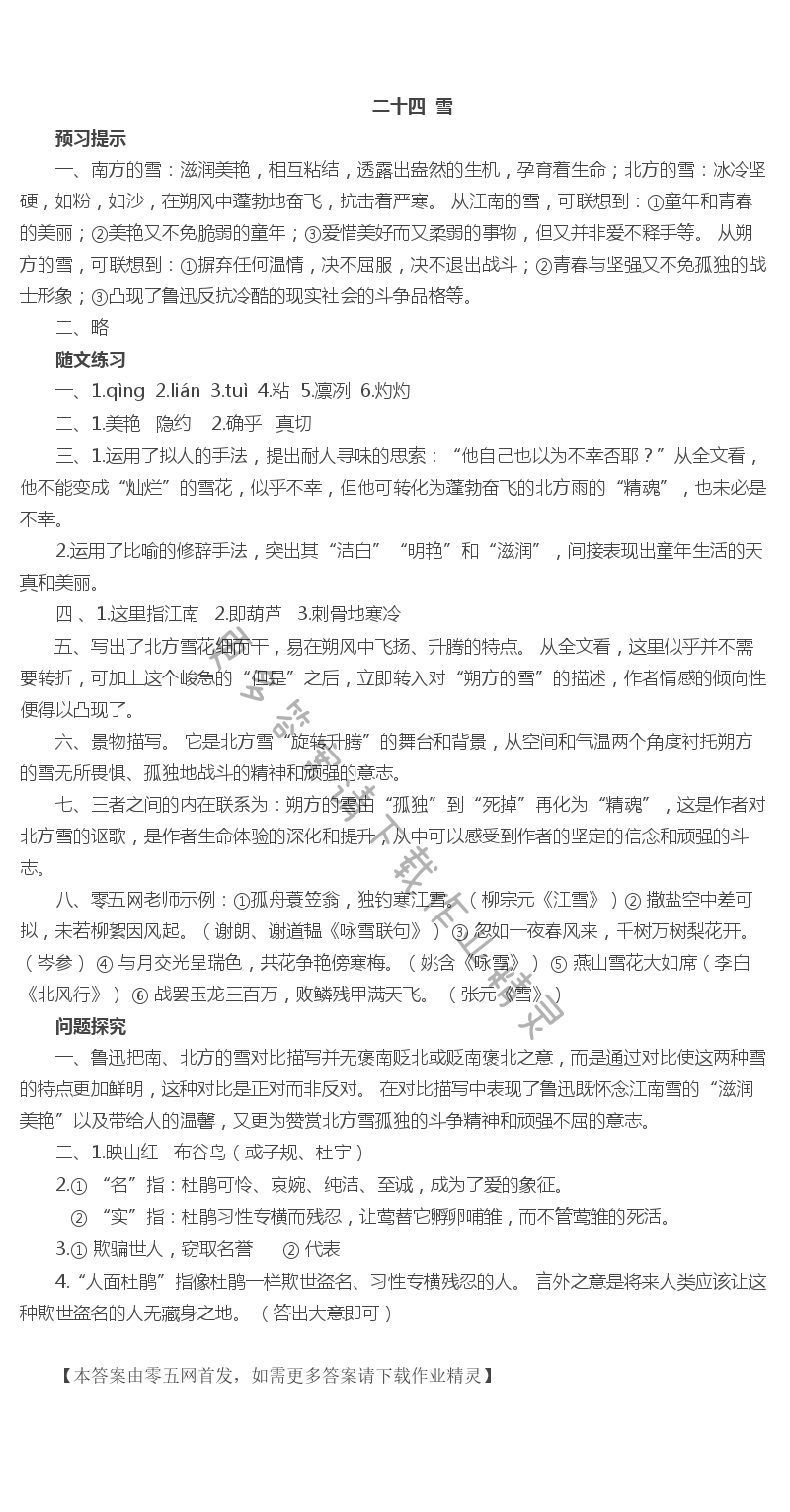 二十四  雪