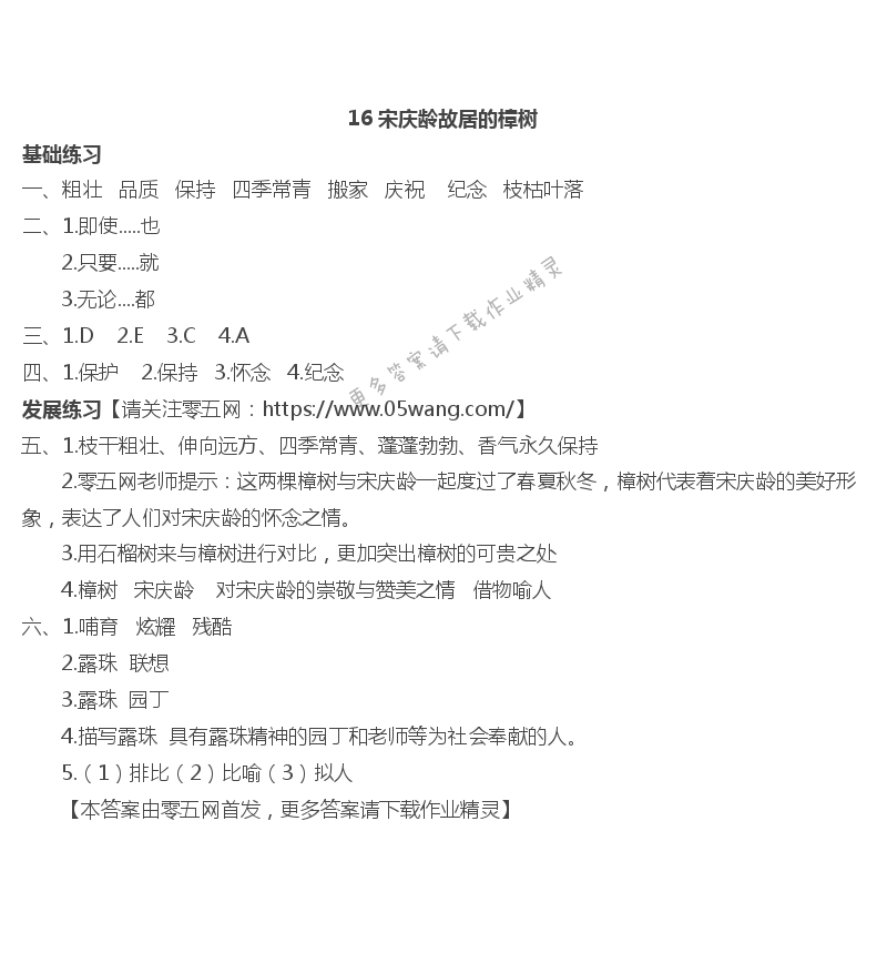 16 宋庆龄故居的樟树