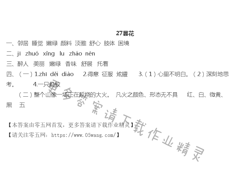 27 昙花 - 27昙花