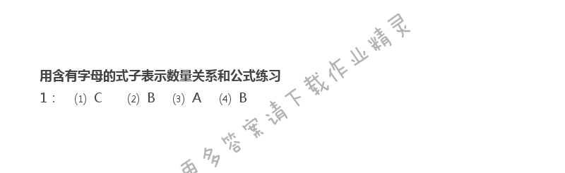 八 用字母表示数 - 苏教版五年级上册数学练习与测试答案第96页
