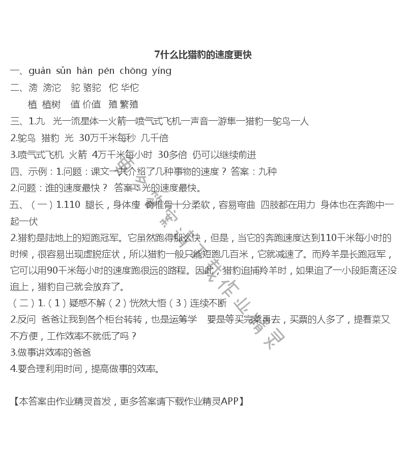 7什么比猎豹的速度更快