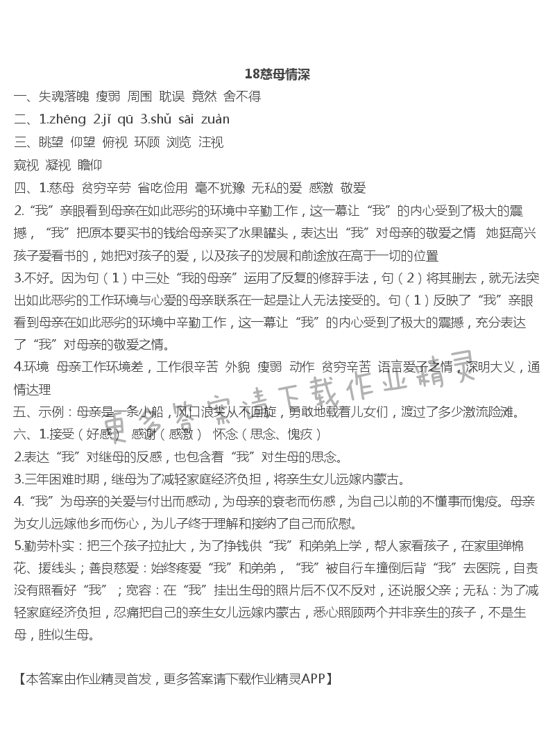 18慈母情深