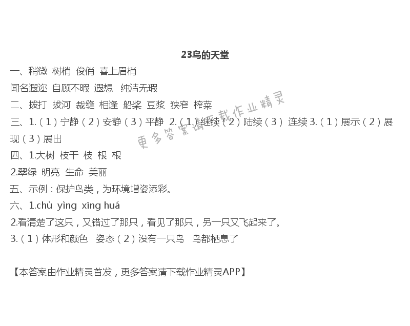 23鸟的天堂