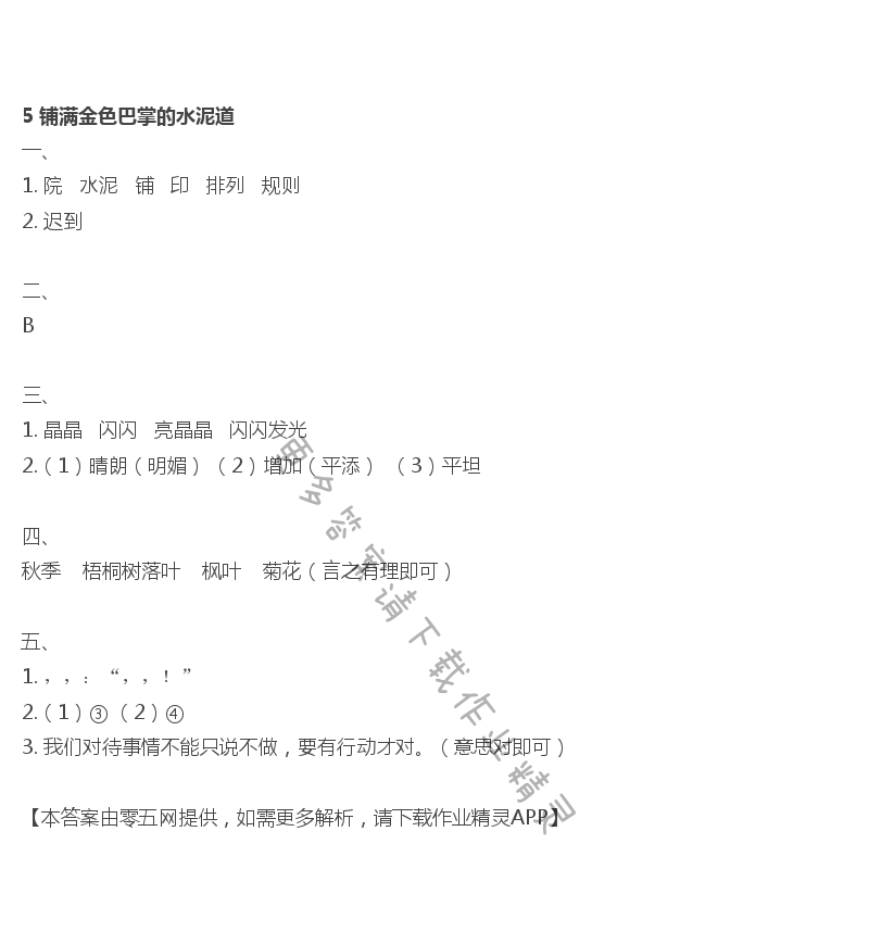 5 铺满金色巴掌的水泥道