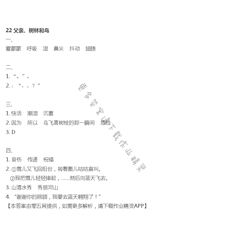 22 父亲、树林和鸟