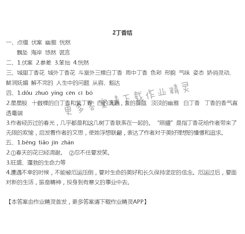 2 丁香结 - 2丁香结