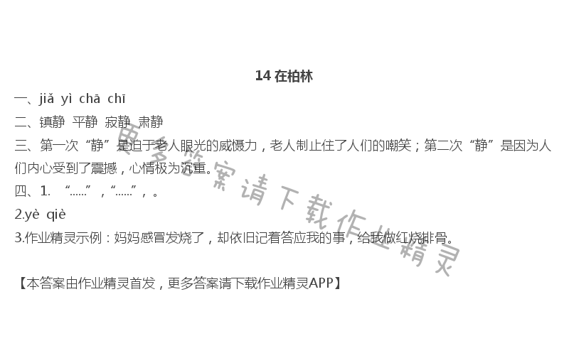 14在柏林 - 14 在柏林