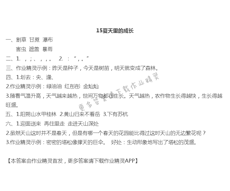 15夏天里的成长