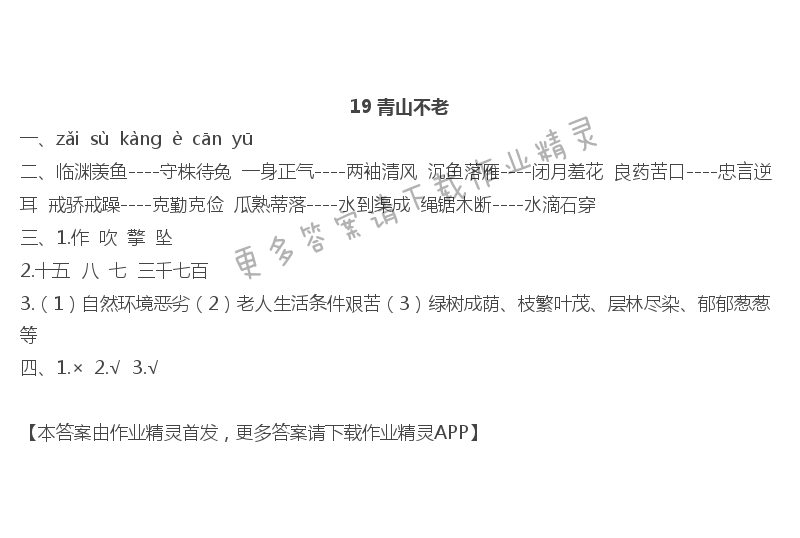 19青山不老 - 19 青山不老