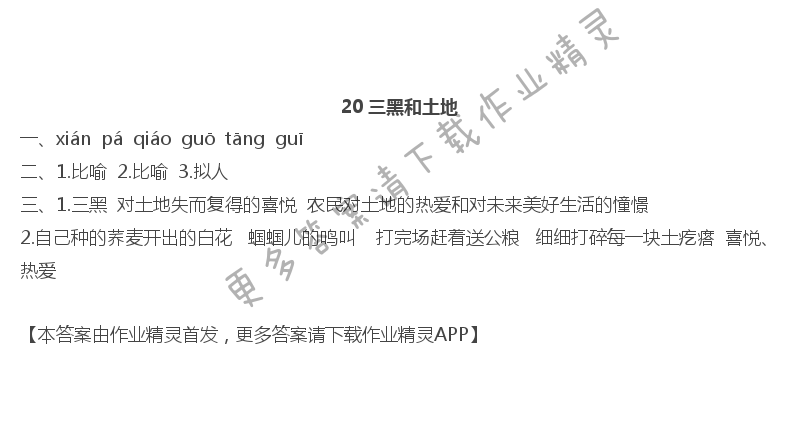 20三黑和土地 - 20 三黑和土地