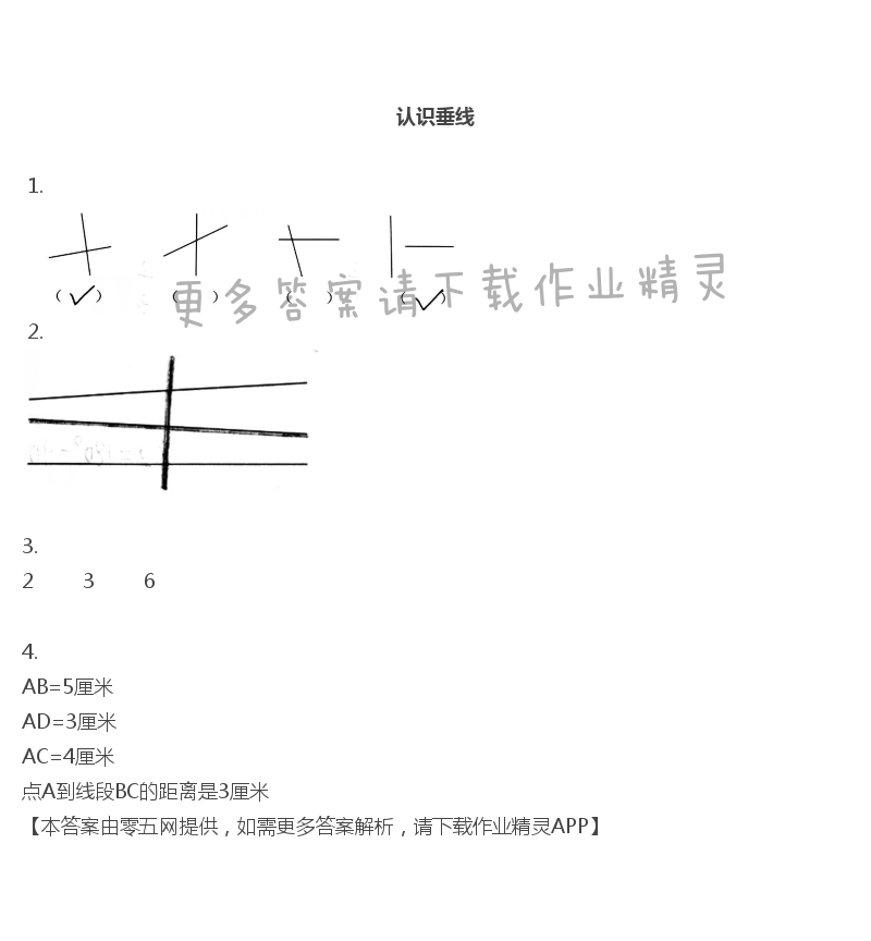 八 垂线与平行线 - 四年级上册数学补充习题第74页答案