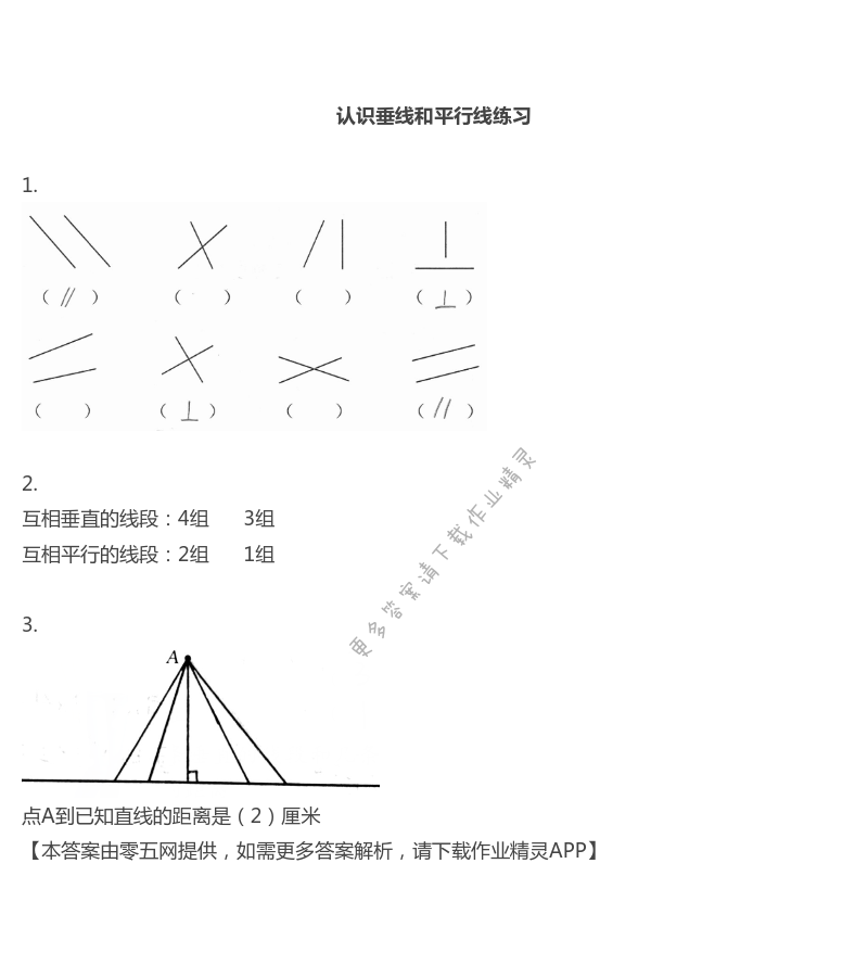 八 垂线与平行线 - 四年级上册数学补充习题第80页答案