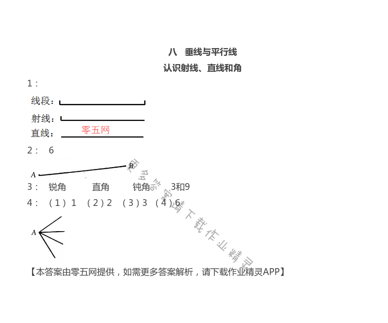 八 垂线与平行线 - 苏教版四年级上册数学练习与测试答案第53页