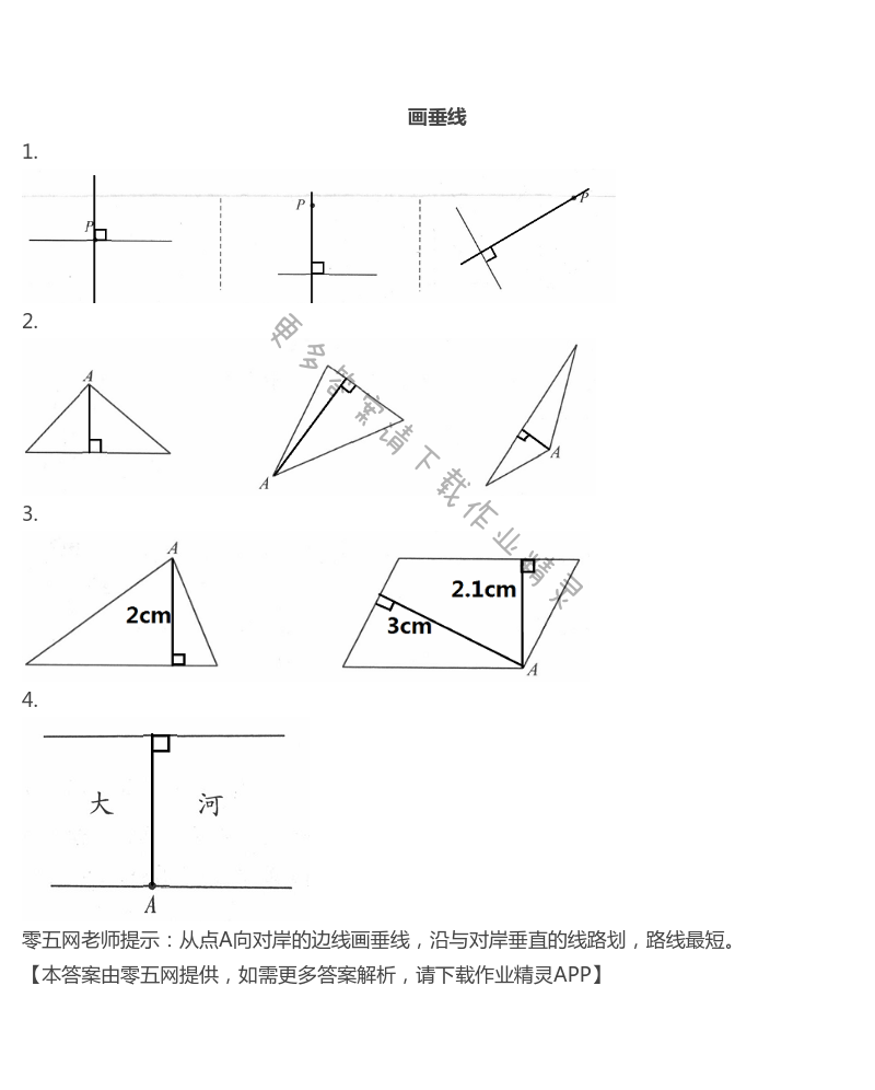 八 垂线与平行线 - 苏教版四年级上册数学练习与测试答案第60页