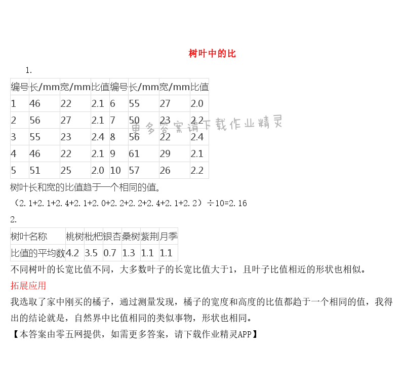 三 分数除法 - 树叶中的比