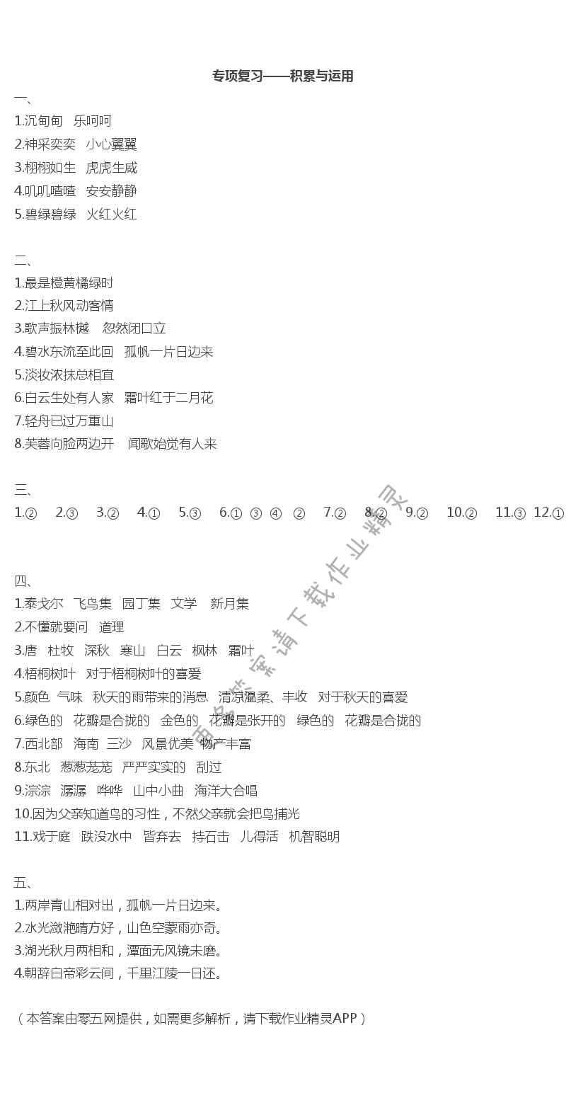 专项复习——积累与运用