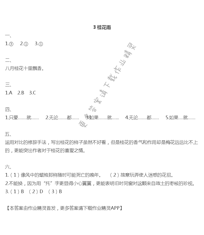 3桂花雨 - 3 桂花雨